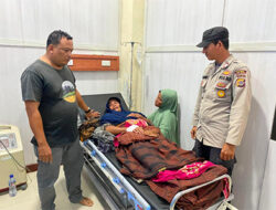 IRT Singkil Bertarung Melawan Buaya di Sungai Saat Cari Pakan Bebek