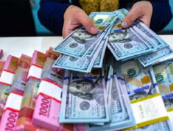 Nilai Kurs Bea Masuk dan Pajak Periode 16-22 April 2025