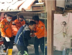 Mengenaskan! Pria Surabaya Tewas di Kamarnya Dikelilingi 10 Anjing, Kepalanya Tinggal Tengkorak