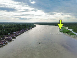 Saling “Buang Badan” Penanganan Buaya di Sungai Singkil