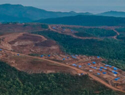 Prabowo Cabut Izin 4 Tambang di Raja Ampat, PT GAG Nikel tak Diganggu