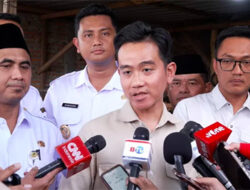 Suara Kabinet Terpecah Sikapi Penugasan Gibran Berkantor di Papua