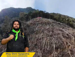MAHAGAPA Kutuk Aksi Perambahan Hutan Lindung di Danau Lut Tawar, Bisa Picu Bencana Longsor dan Kekeringan!