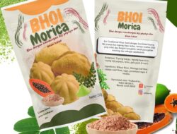 “Bhoi Morica” Raih Tiga Penghargaan di KIWIE 2025 Korea Selatan