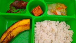 Ditemukan Banyak Dapur Fiktif, MBG Terindikasi Jadi Ladang Korupsi