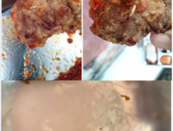 BGN Setop 47 Dapur MBG, Diemukan Roti Berjamur hingga Lauk Basi