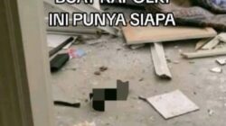 Heboh … Ditemukan Alat Bantu Seks “Black Mamba” di Rumah Politisi Usai Penjarahan