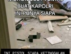 Heboh … Ditemukan Alat Bantu Seks “Black Mamba” di Rumah Politisi Usai Penjarahan