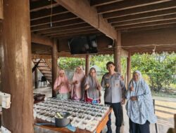 Kapolda Aceh Tinjau Program Makanan Tambahan untuk Ibu Hamil dan Lansia di Gampong Tibang
