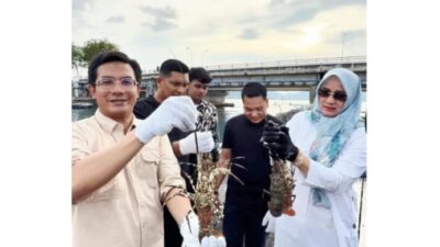 Lobster Uleelheue Tembus Pasar Nasional, DPRK Desak Dukungan Pemko Banda Aceh