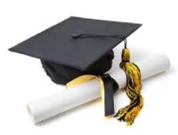 17 Profesor ULM Dicabut Gelarnya