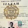 Kalau Ijazah Jokowi Palsu, Roy Suryo Bisa Apa?