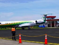 Bandara IMIP Dibangun Era Jokowi tanpa Pengawasan Pemerintah, Disebut Seperti Ada Negara dalam Negara