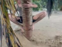 Update Korban Banjir dan Longsor Aceh–Sumut–Sumbar:  174 Tewas, Puluhan Hilang