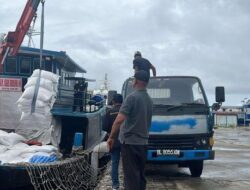 Disebut Ilegal, Kementan Segel 250 Ton Beras Impor di Sabang