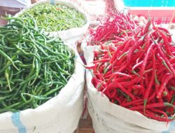 Stok Telur Menipis, Harga Cabai Merah Rp 250 Ribu di Banda Aceh