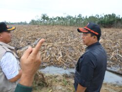 347 Ton Beras Disalurkan, Bupati Minta Hunian Sementara untuk Pengungsi Aceh Utara