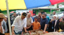 Menteri UMKM Tinjau Pemulihan Usaha Terdampak Bencana di Pidie Jaya