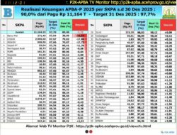Tahun 2025 Berakhir, Realisasi Anggaran 3 SKPA tak Capai Target