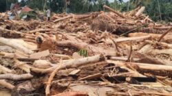 Lahan Prabowo di Aceh Berada di Empat Kabupaten Terparah Banjir, Hanyutkan Ratusan Kayu Gelondongan