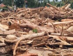 Lahan Prabowo di Aceh Berada di Empat Kabupaten Terparah Banjir, Hanyutkan Ratusan Kayu Gelondongan