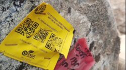 Ada Logo Pemerintah di Kayu Gelondongan yang Dibawa Banjir Sumbar, Kemenhut Terlibat Rambah Hutan?