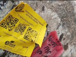 Ada Logo Pemerintah di Kayu Gelondongan yang Dibawa Banjir Sumbar, Kemenhut Terlibat Rambah Hutan?