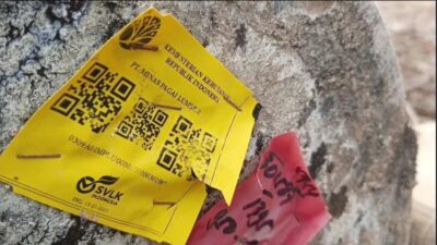 Ada Logo Pemerintah di Kayu Gelondongan yang Dibawa Banjir Sumbar, Kemenhut Terlibat Rambah Hutan?