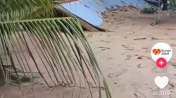 Bersabarlah, Saudaraku … Penderitaan Ini Demi Wibawa Presiden