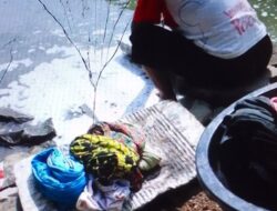 Sudah 43 Hari Aceh Utara Dilanda Krisis Air Bersih