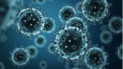 Super Flu Merebak, Pemerintah belum Tetapkan Kebijakan Sekolah Online