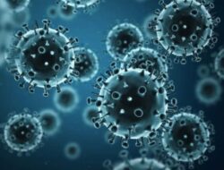 Super Flu Merebak, Pemerintah belum Tetapkan Kebijakan Sekolah Online