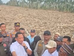 Tito Pimpin Rehab-Rekon Sumatera, Tokoh Aceh Desak Proyek tidak Lewat E-Katalog