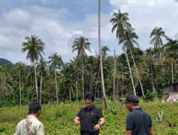 Petani Nilam Sabang Sambut Kolaborasi Riset dan Aplikasi MyNilam