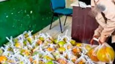 Viral Menu MBG di Muara Badak Diganti Sebutir Kelapa Muda