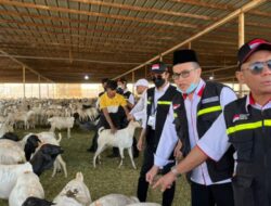 Jamaah Haji Muhammadiyah Diminta Sembelih Dam di Tanah Air