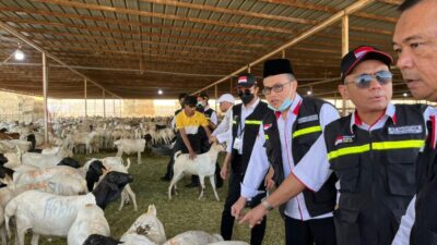 Jamaah Haji Muhammadiyah Diminta Sembelih Dam di Tanah Air