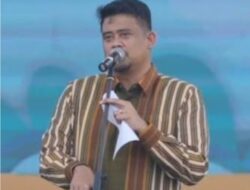 Guru PPPK Sumut Cuma Digaji Rp80 per Hari