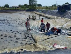Ubah Sawah Sendiri Jadi Tambak Udang, Pengusaha di Jateng Jadi Tersangka