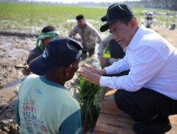 Usai Disorot Amran, Pemerintah Aceh Jelaskan Posisi Anggaran Rehab Sawah Rp2,5 Triliun