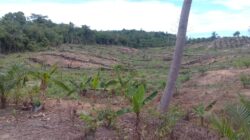Petani Aceh Timur Desak RAB dan CPCL PSR Dibuka