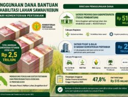 Skema Peruntukan Dana Rehab Sawah Korban Bencana